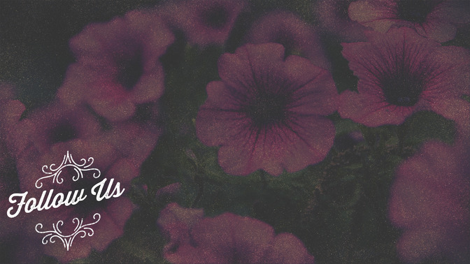 Spring_Swirls_-_Follow_Us_16x9-CONTENT-2#preset=tg_alt2.jpg