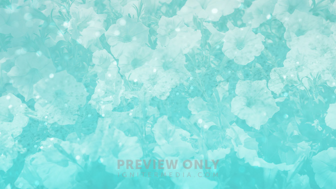 Springtime_-_Spring_Events_16x9-BACKGROUND#preset=tg_bg.jpg