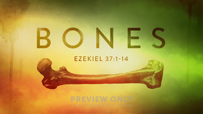 bones