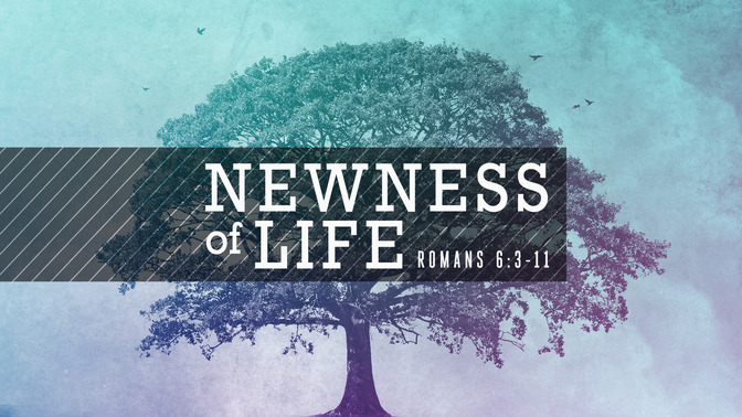 newness of life
