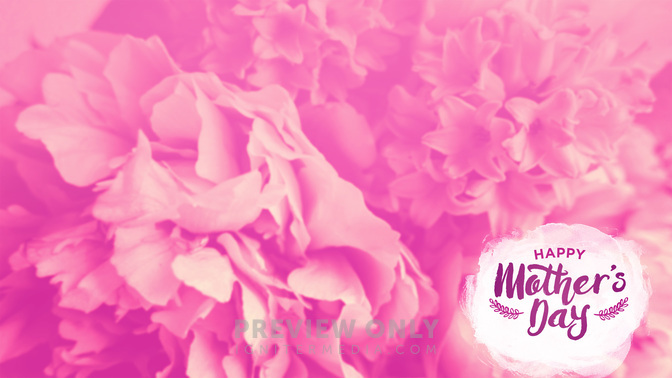 Flower_Fields-Happy_Mothers_Day_WIDE-CONTENT-2#preset=tg_alt2.jpg