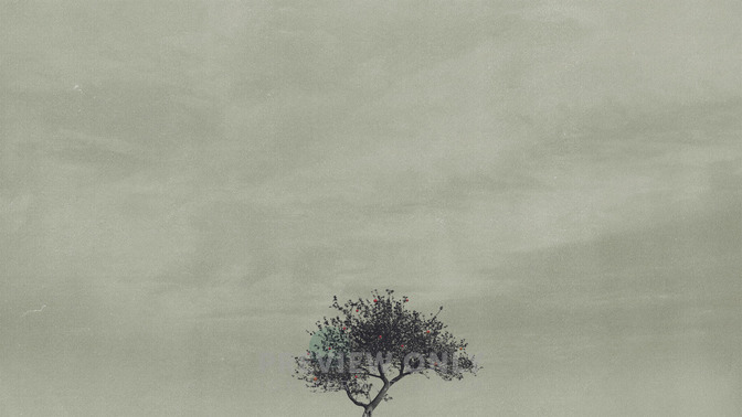 Fruit-Bearing_Season_16x9-BACKGROUND#preset=tg_bg.jpg