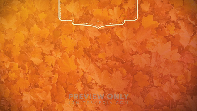 Autumn_Foliage_-_Welcome_16x9-CONTENT-3#preset=tg_alt3.jpg