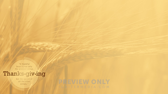 Thanksgiving_16x9-CONTENT-1#preset=tg_alt1.jpg