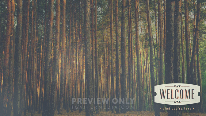 Forest_Morning_-_Welcome_16x9-CONTENT-1#preset=tg_alt1.jpg