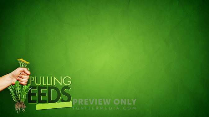 Pulling_Weeds_16x9-CONTENT-2#preset=tg_alt2.jpg