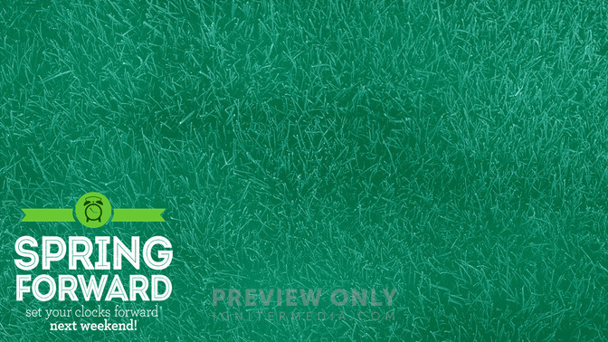 Spring_Forward_16x9-CONTENT-1#preset=tg_alt1.jpg
