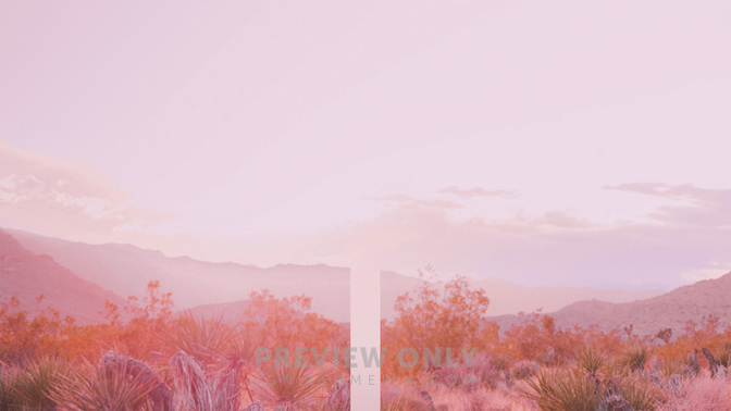 Womens_Bible_Study-WIDE#preset=tg_title3.jpg