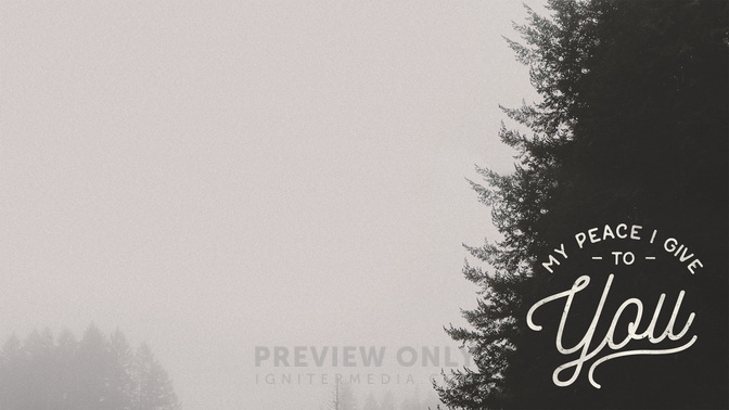 My_Peace_I_Give_To_You_WIDE-CONTENT-2#preset=tg_alt2.jpg