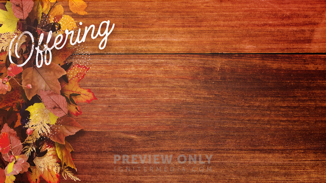 Offering-WIDE#preset=tg_alt1.jpg