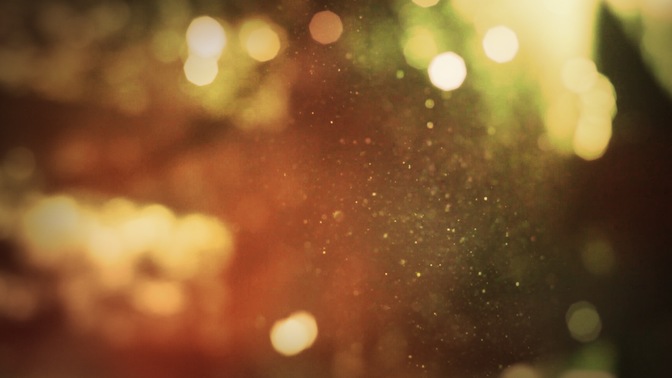 Dusty_Light_-_Orange_16x9.jpg