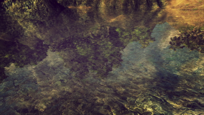 vivid reflections