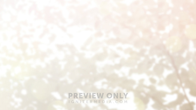Seeing_the_Word_of_Life_16x9-BACKGROUND#preset=tg_bg.jpg