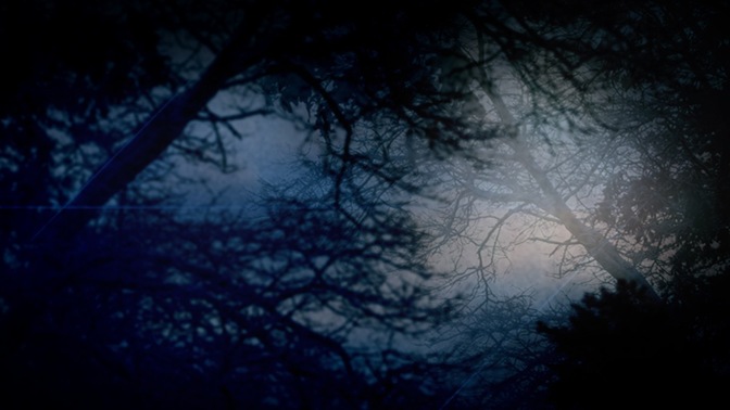 nature dusk blue