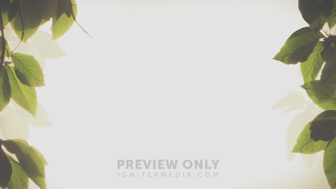 Imitators_of_God_16x9-BACKGROUND#preset=tg_bg.jpg