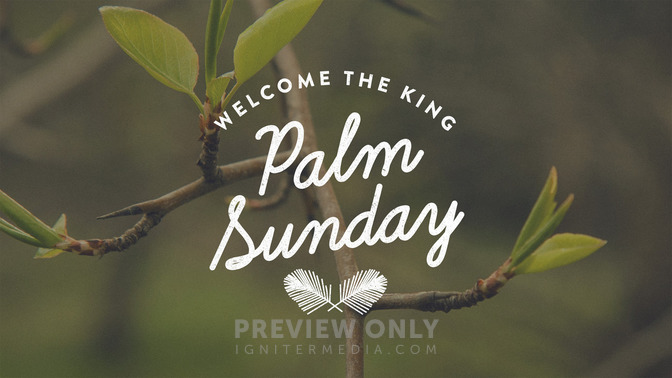 Blossoms_-_Palm_Sunday_16x9-TITLE-1#preset=tg_title1.jpg