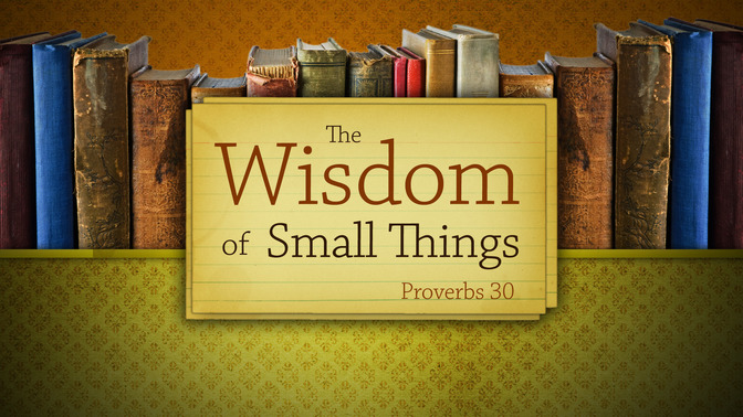 the wisdom of small things