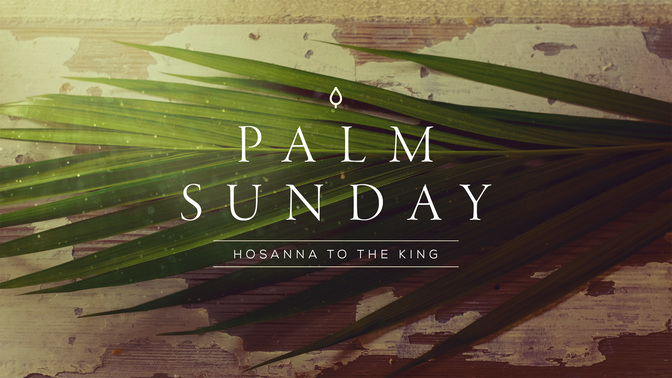 portraits of passion - palm sunday