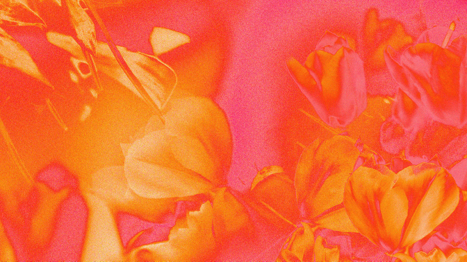 hyper bloom - 6