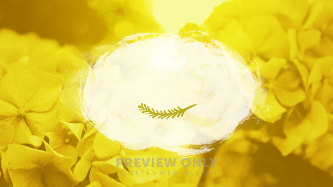 Flower_Fields-Offerings_WIDE-TITLE-3#preset=tg_title3.jpg