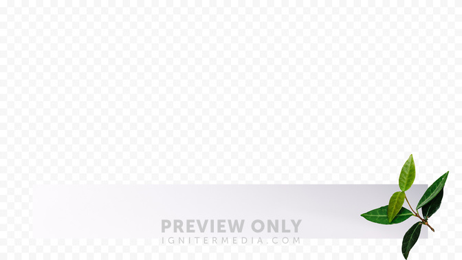 FruitoftheSpirit_FruitoftheSpirit_L3_TH_FruitoftheSpirit_WIDE#preset=tg_transparent_png_preview.jpg