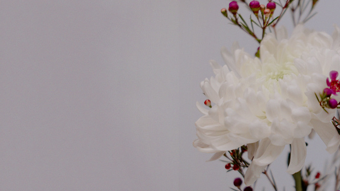 Floral_Details_Floral_Details_TT3_Offering_WIDE#preset=tg_title3.jpg