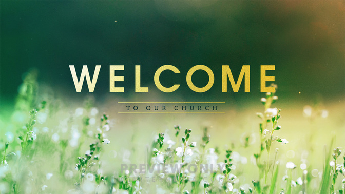 fields of bloom - welcome