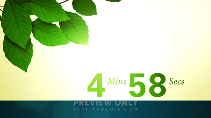 CD_Spring_Leaves_720p_Preview.jpg