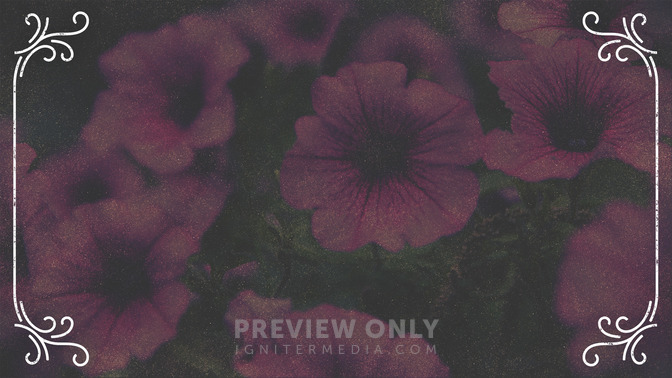 Spring_Swirls_-_Follow_Us_16x9-BACKGROUND#preset=tg_bg.jpg