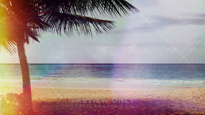 Paradise_16x9-TITLE-3#preset=tg_title3.jpg