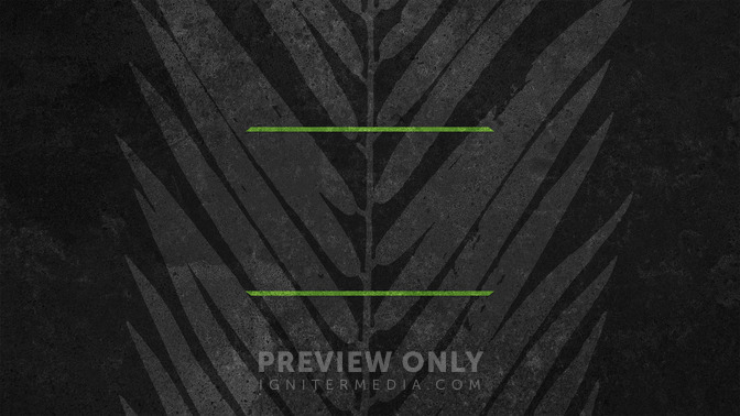 Holy_Week_-_Palm_Sunday_16x9-TITLE-3#preset=tg_title3.jpg