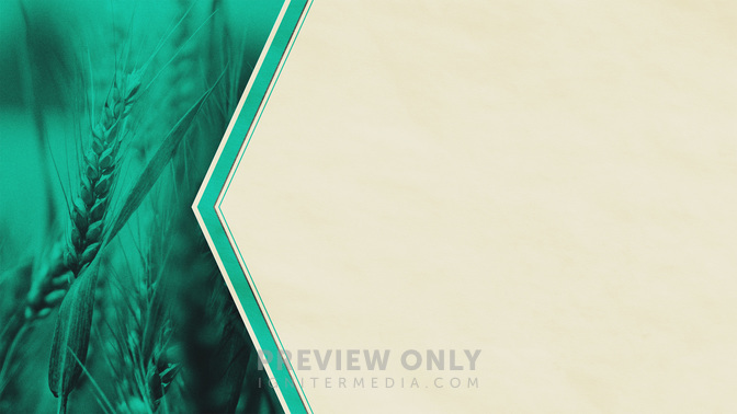 Give_Thanks_WIDE-TITLE-3#preset=tg_title3.jpg