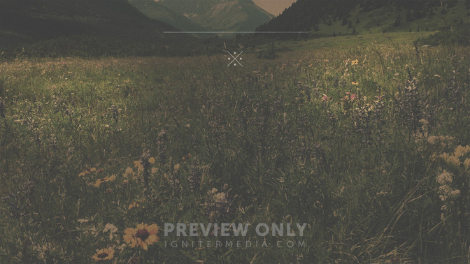 Discernment_16x9-CONTENT-3#preset=tg_alt3.jpg