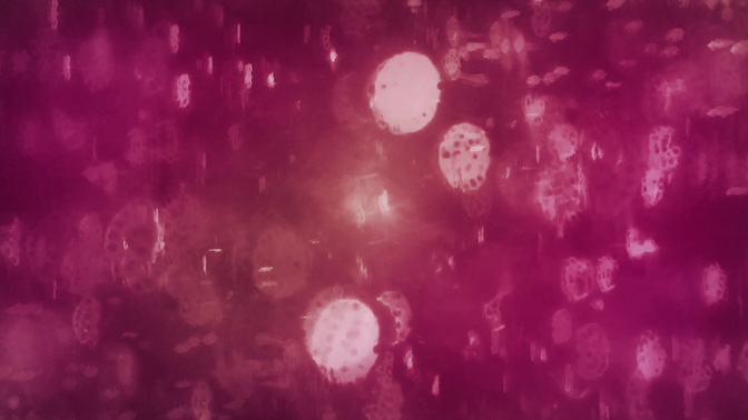 streaked bokeh - static pink