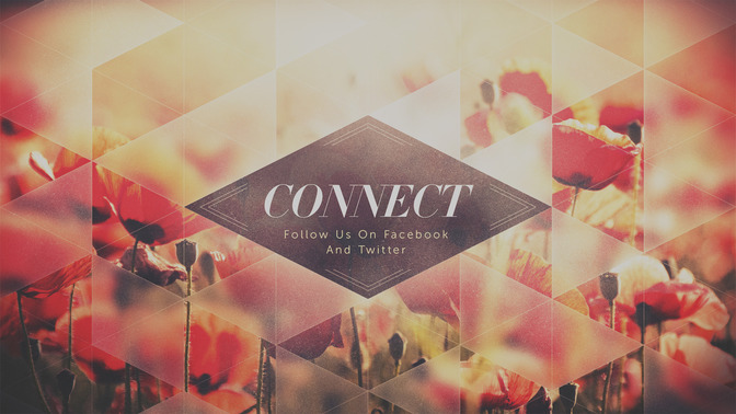 opaque triangles - connect
