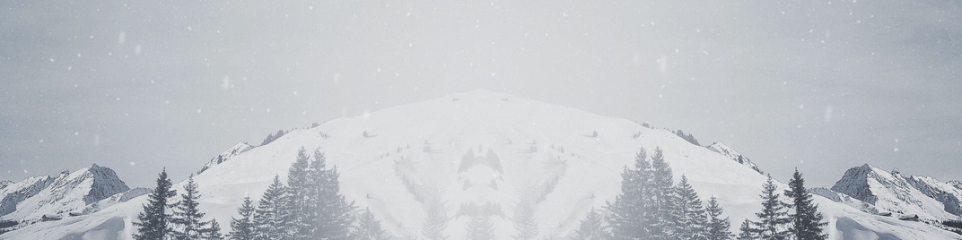 majestic snow - mountain top