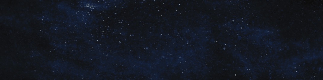 new year sparkle - night