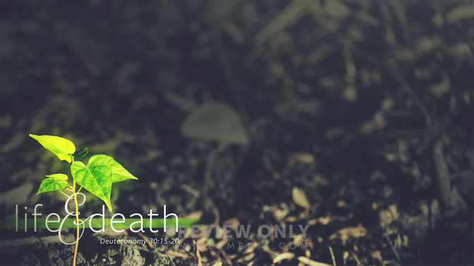 Life_And_Death_WIDE-CONTENT-1#preset=tg_alt1.jpg