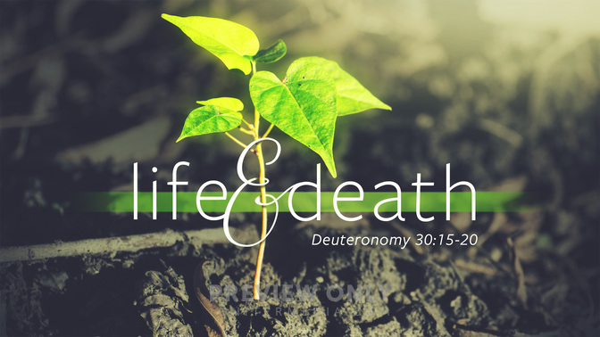 life & death