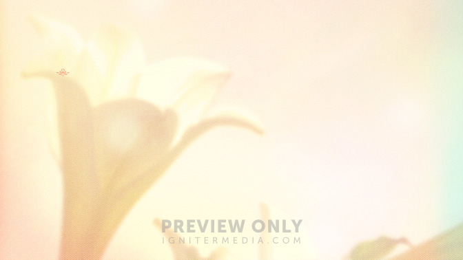 Lilies_-_Thanks_For_Coming_16x9-CONTENT-3#preset=tg_alt3.jpg