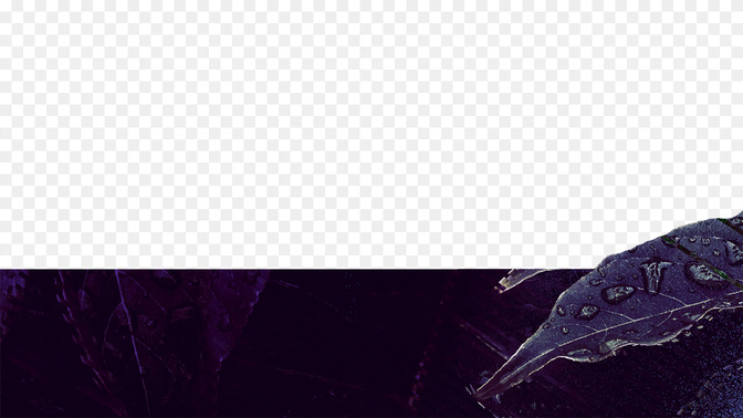 MarriageConference-WIDE#preset=tg_transparent_png_preview.jpg