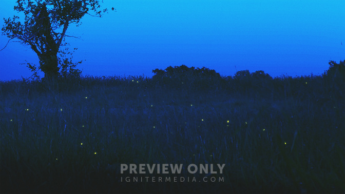 Take_Care-WIDE#preset=tg_title3.jpg