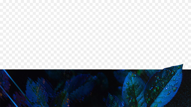 SinglesConference-WIDE#preset=tg_transparent_png_preview.jpg