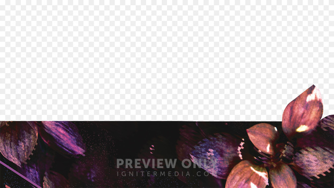 WomensConference-WIDE#preset=tg_transparent_png_preview.jpg