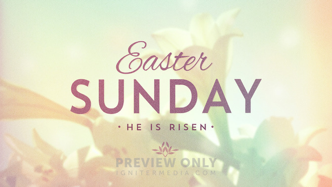 lilies - easter sunday