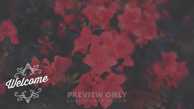 Spring_Swirls_-_Welcome_16x9-CONTENT-2#preset=tg_alt2.jpg