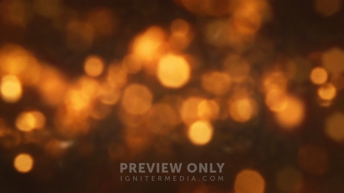 Bush_Bokeh_Gold_HD.jpg