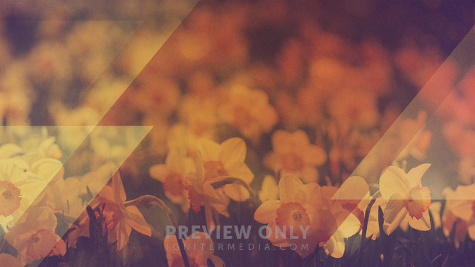 Morning_Flowers_-_Contact_Us_16x9-TITLE-3#preset=tg_title3.jpg
