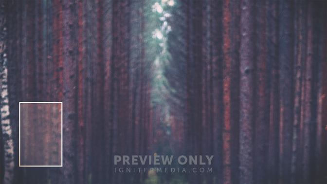 Was_Blind_But_Now_I_See_16x9-CONTENT-3#preset=tg_alt3.jpg
