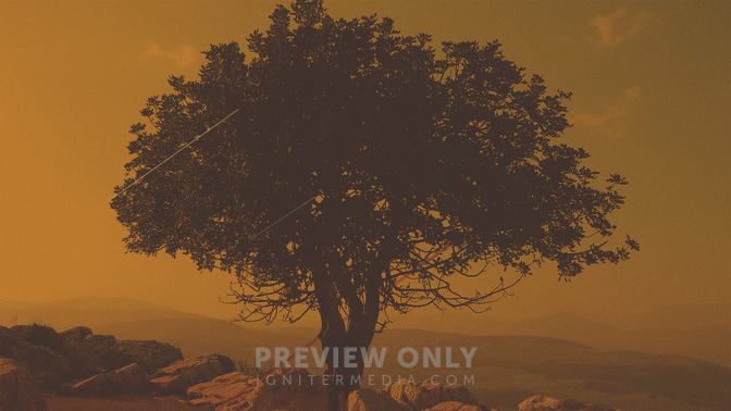 Zacchaeus_16x9-BACKGROUND#preset=tg_bg.jpg